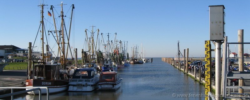 hafen_herbst_800x320_wm1
